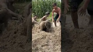 emotional trending desi short fitness motivate#funny#bhojpuri#emotional#song#jaishreeram#humor