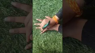 finger mehendi design ✨💫#fashion #female #henna #mehndi #mehandi #monika art zone#viral