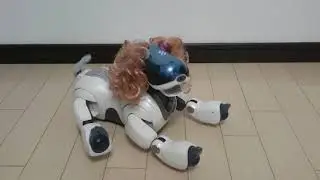 AIBO de シネマ 4. 映画「コーラスライン」より「One」