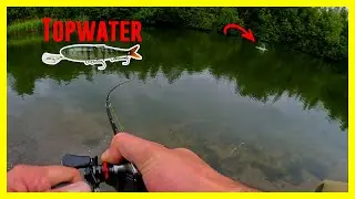 Topwater Pike on the Headbanger Spitfire Lure