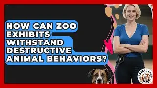 How Can Zoo Exhibits Withstand Destructive Animal Behaviors? - Animal Care Jobs