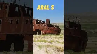 From Sea To Desert, Aral sea #shorts