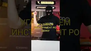Угадываем инструмент по звуку🔥