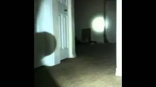 UTG SWATFORCE Tactical Flashlight