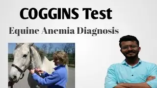 Coggins Test