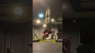 The real workout 🔥💪 #calisthenics #bodybuilder #hybridworkout