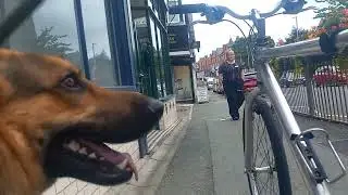 UK GHOST TOWN explored by German Shepherd 