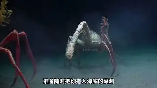 如果不小心掉入了深海，你知道你会遇到什么危险生物吗..