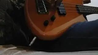Spector Rare Bass