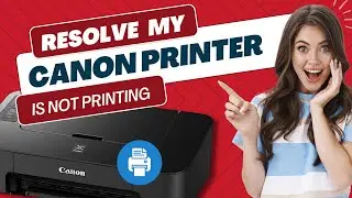 Resolve Canon Printer Is Not Printing Issue [Top 3 Solutions]