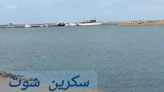 ضنى مش عارف خدعتوناياسمين وصدفةوام جنى تحت الرصدالحكومى بسبب العقارات براءةحرامى الحلل برج ماماسحورة