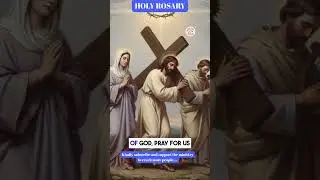 Pray the Daily Rosary with Mama Mary ❤️ January 27, 2026