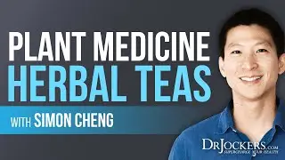 Using Pure Plant Medicine Based Teas for Optimal Health with Simon Cheng