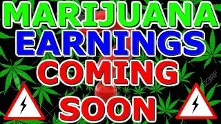 What To Expect From Earnings In The Cannabis Sector 2019 - Aurora, Aphria, Canopy, Cronos stock
