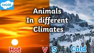 Animals in Hot Vs Cold Climates