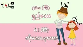 ဆန့်ကျင်ဘက် စကားလုံးတွေကို 6မိနစ်အတွင်းလေ့လာကြမယ်😉✨ #china #languageeducation #language #beginners