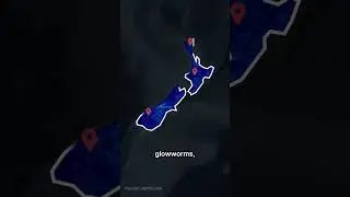 What is glowworms in MrBeast video?