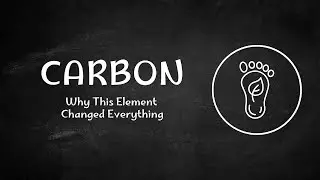 Why Carbon Is the Most Important Element in Chemistry
