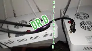DR.D Closet Grow, PT1 , Hollandstar 2x1000watt cobs