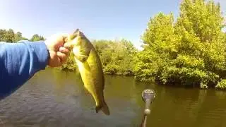 Largemouth Bass fishing on Earl Reservoir in Highland Mills in Southern New York