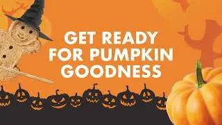Buddy Biscuits | Halloween Dog Treats