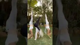 Our mum does an amazing triple cartwheel 🤯