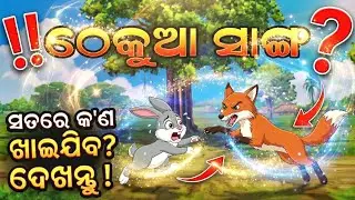 ଠେକୁଆ  ସାଙ୍ଗ| stories video|odia gapa video|odia cartoon video|odia story odia video|odia story 