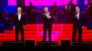 Linie 3 -  Help Me Rhonda, live 2013