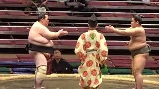 輝の里 vs 原【大相撲令和8年1月場所】13日目 初場所 TERUNOSATO vs HARA [JAN 2026 DAY13] 2026/01/23