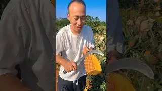 🍍#fresh #agriculture #farming #nature #automobile #satisfying #shortfeed #ytshortvideo #viral #fruit