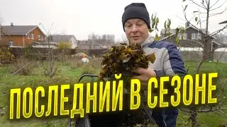 Листья с травой на грядки идеальная мульча но слизни одолели