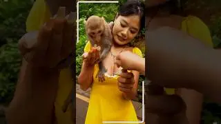 Monkey and Girl Funny Video | Epic Moments You Can&rsquo;t Miss! #animalvids360 #shorts #shortsviral