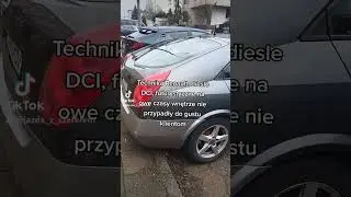 Coś nie pykło? Dlaczego Nissan Primera P12 nie zawojował rynku? #nissan #primera #auto #car