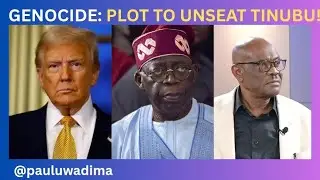 Уайк отвечает Трампу: &laquo;Геноцид христиан&raquo; &mdash; это заговор с целью смещения Тинубу в 2027 году