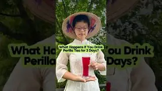 3 Days of Perilla Tea: Natural Glow from the Inside Out 🌿✨ | Vietnam Retreat