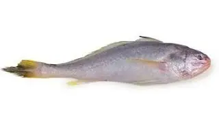 Poa || Popa || সামুদ্রিক পোপা মাছ || Amazing fish cutting skills ||