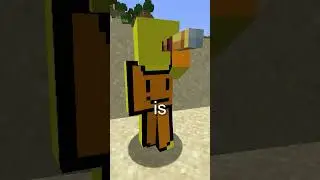 What Is The Amethyst In Minecraft?