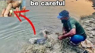 fish fishing videos | how to use fedeer | new fishing videos | fedar fishing techniques 