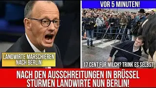 Merz in Panik: AfD steht auf der Seite rebellierender Bauern!​