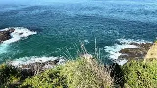 4K Scenery Blue ocean beside the trail, George Bass Coastal Walk,VIC   步道边蔚蓝的海洋