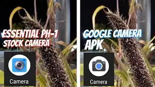 Essential PH-1 vs Google Camera APK, CAMERA COMPARISON