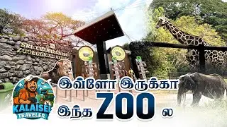 Mysore zoo tourist place  #mysorezoo @kalaisei9596 ￼