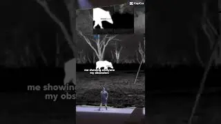 Texas. Wild pigs. Night vision. Probably a little more than an obsession.