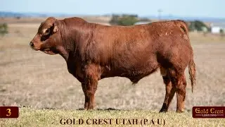 Lot 3 - GOLD CREST UTAH (P A U)