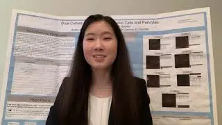 Dual-Culture Protocol for Endothelial Cells and Pericytes