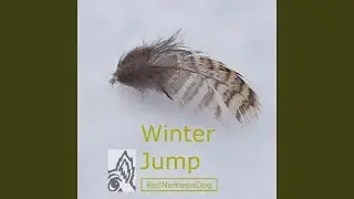 Winter Jump