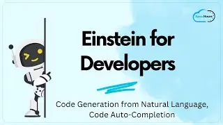 Einstein for Developers