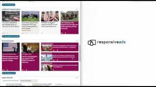 Responsive Ad Example Guardian Google Pixel 10-4  (IAB Flex Ads)