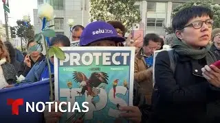 Inmigrantes de Honduras, Nicaragua y Nepal con TPS tienen un respiro | Noticias Telemundo