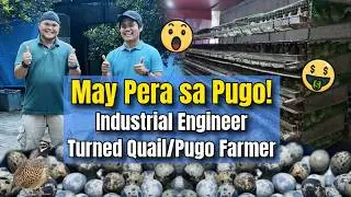 May Pera sa Pugo! Industrial Engineer Turned Quail/Pugo Farmer
